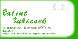 balint kubicsek business card